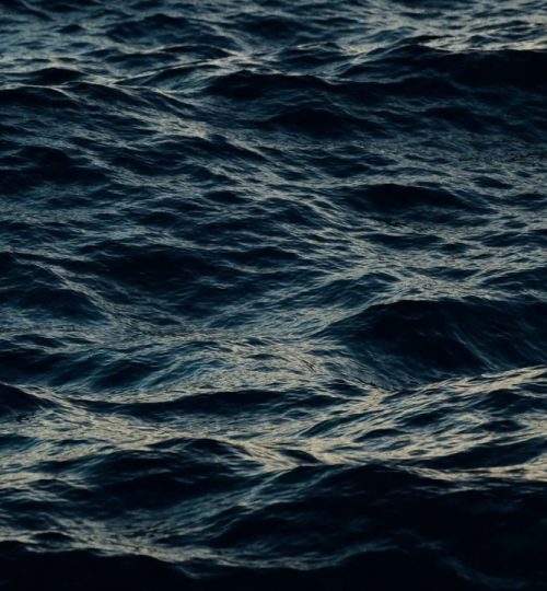 IMAGEM-SITE-3