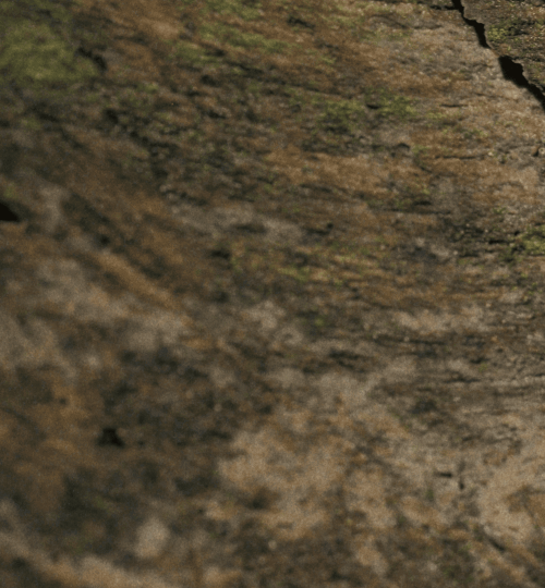 MADEIRA-TEXTURA